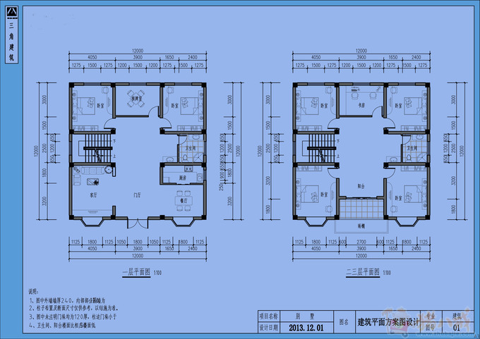 农村自建3层半求设计3D图平面图_三角建筑_5