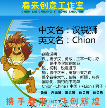 准备注册一个科技公司,需要起名,起安防监控有