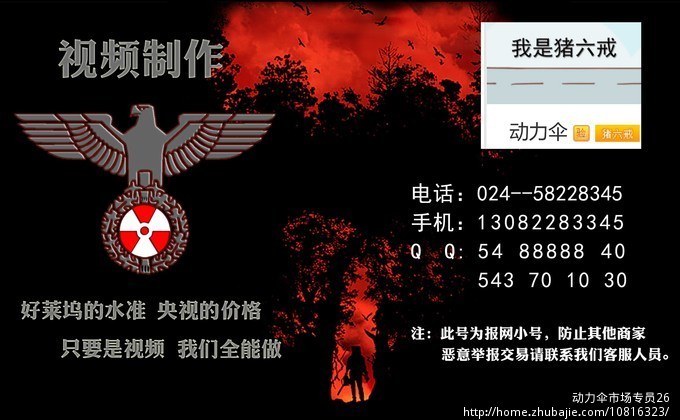 62823826号交稿-任务:广场舞教学视频制作 -猪