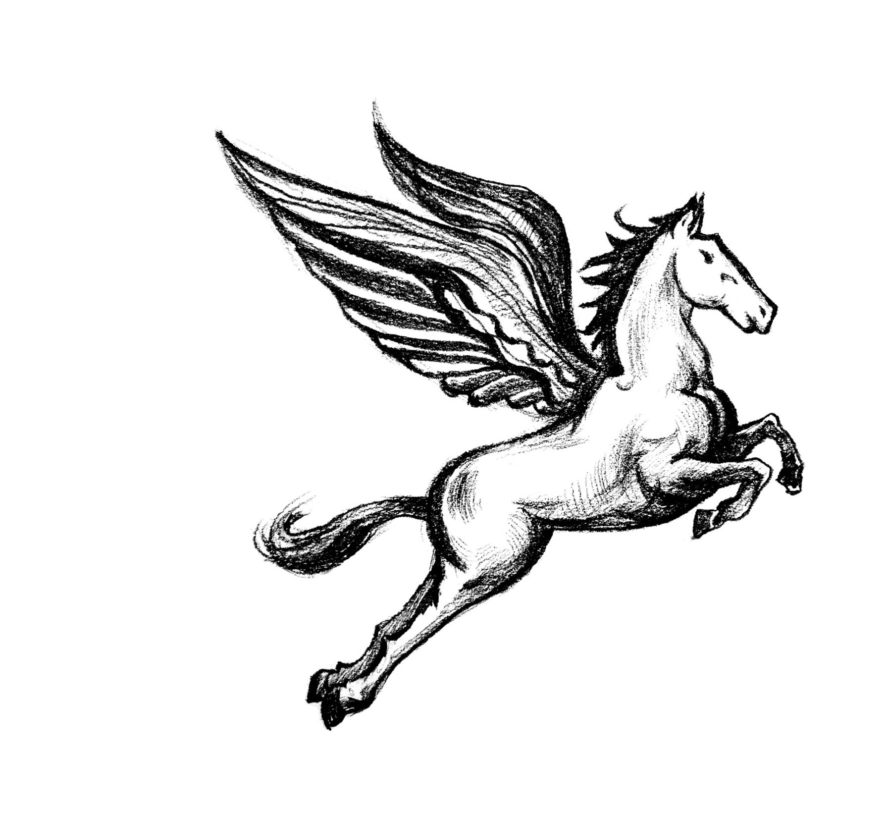 飞马计划logo设计