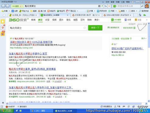 定制360随变搜索-其他网络营销-网络营销 -猪八
