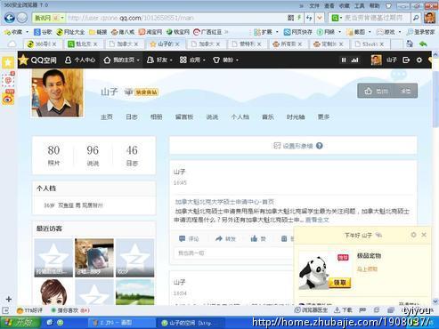 定制360随变搜索-其他网络营销-网络营销 -猪八