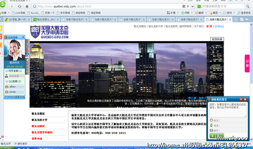 定制360随变搜索-其他网络营销-网络营销 -猪八