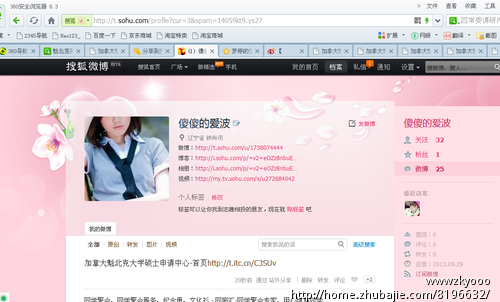 定制360随变搜索-其他网络营销-网络营销 -猪八