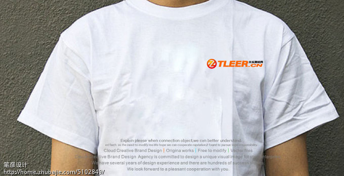 65578726号交稿-任务: 天乐测绘网 Logo设计 -猪