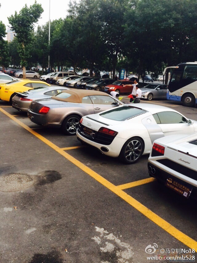 公司多项优势业务,诚招实力网络营销推广、微