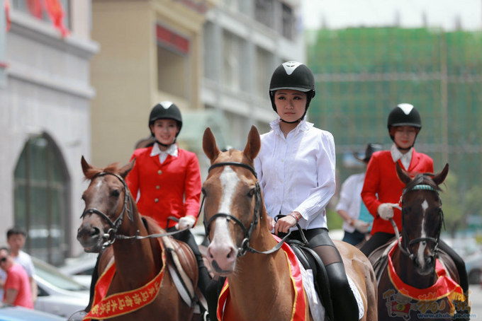 公司多项优势业务,诚招实力网络营销推广、微