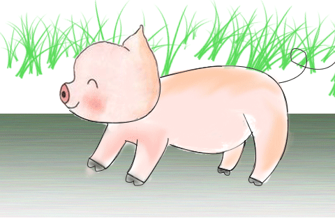 小猪跑步图片第15946525号稿件
