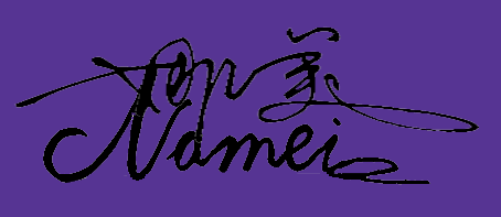 设计娜美女装品牌logo