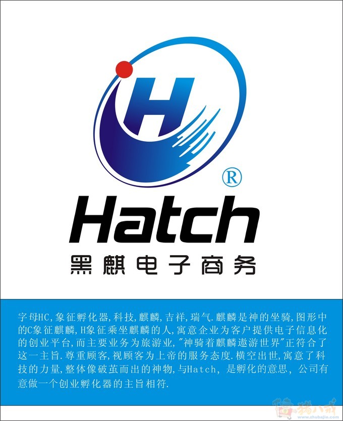 电子商务公司logo设计 舒华文化 投标-猪八戒网