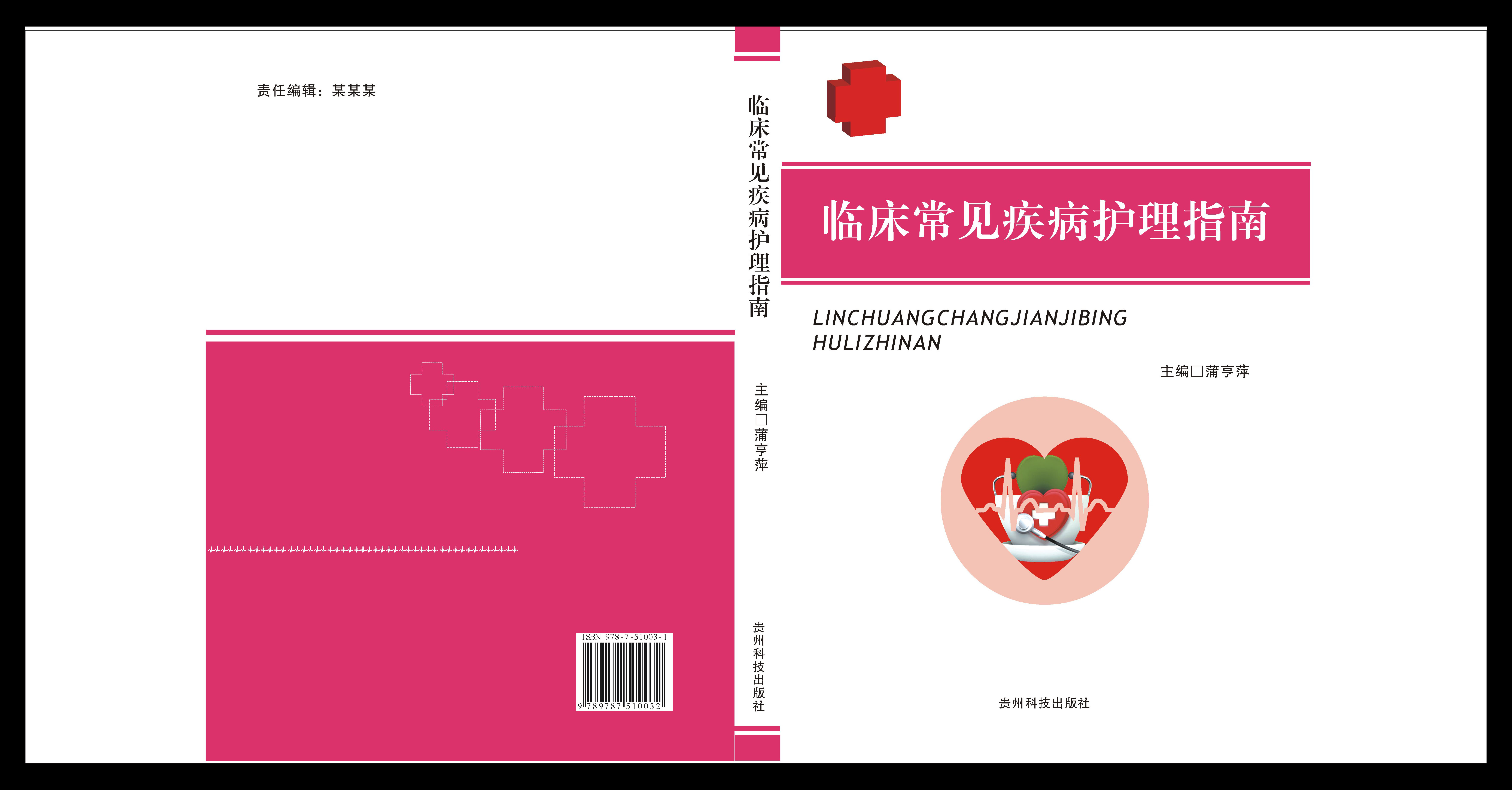 图书《临床常见疾病护理指南》封面设计