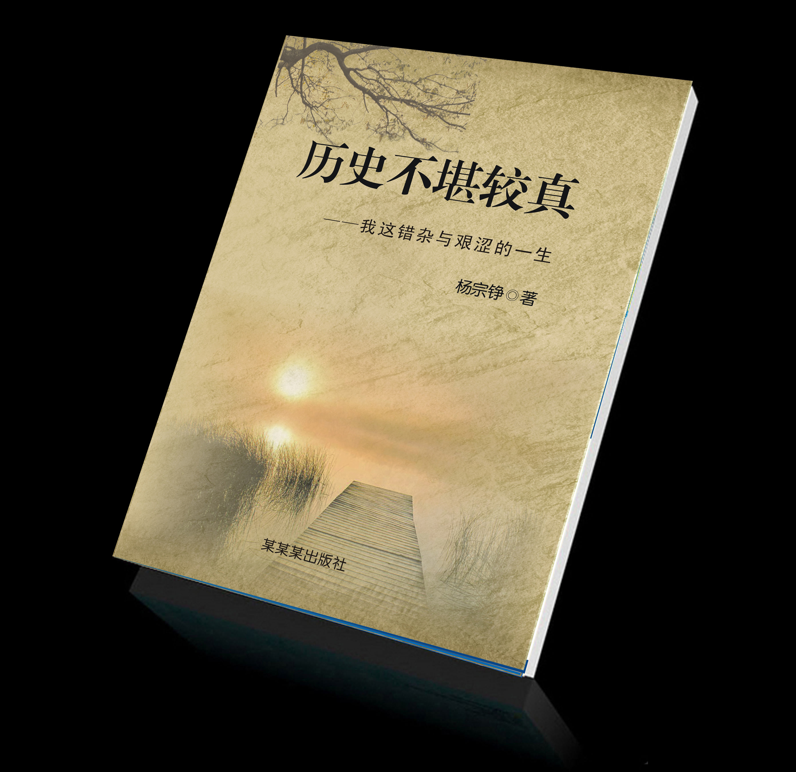 图书封面设计——《历史不堪较真》