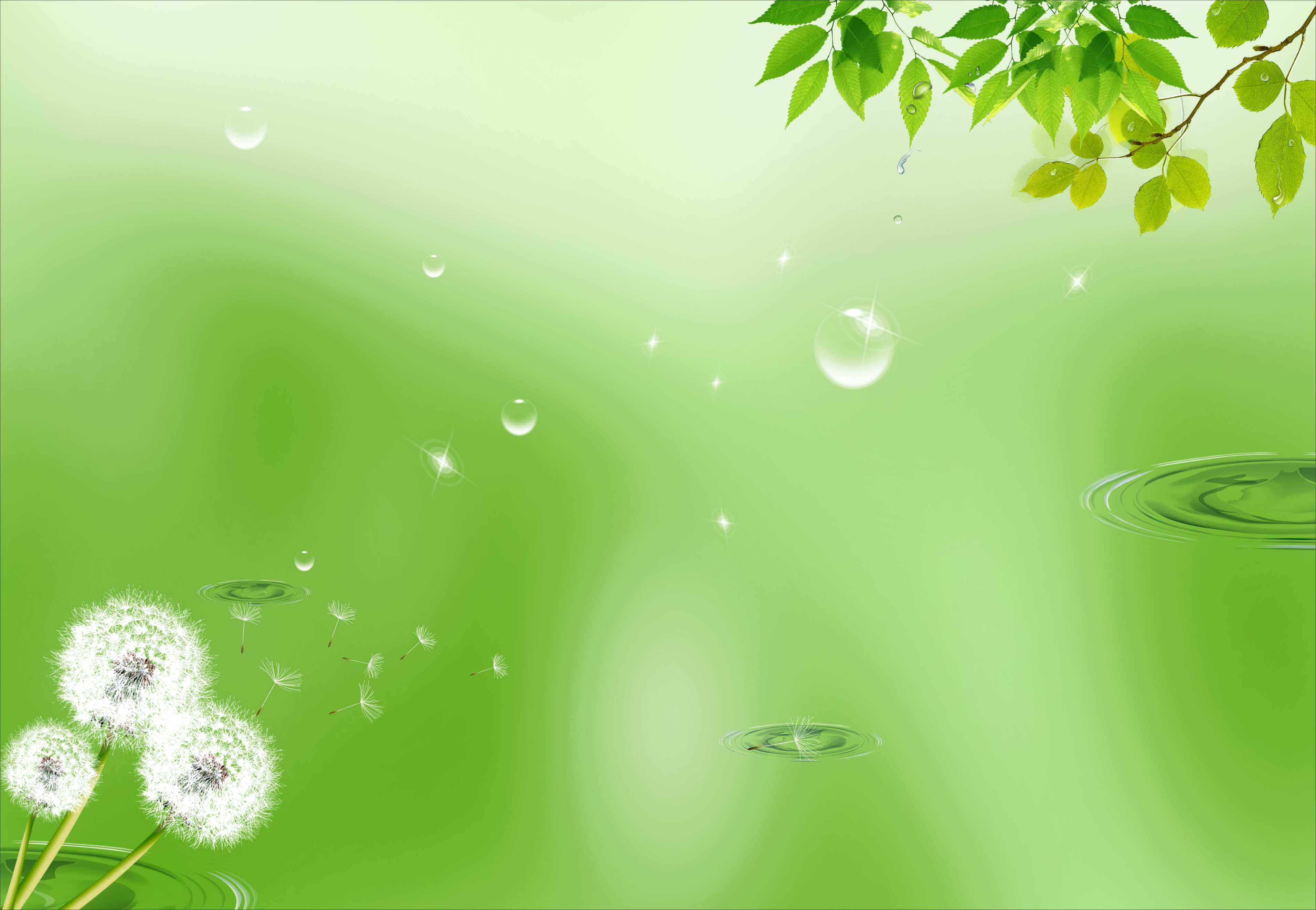 草绿色纯色手机壁纸图片