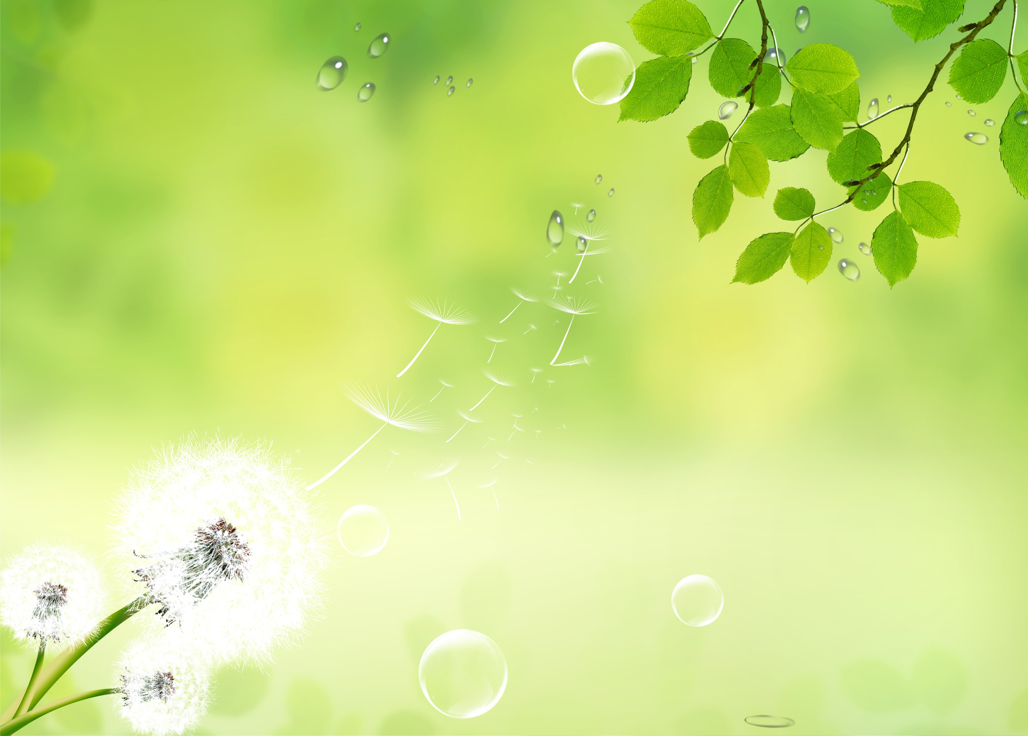 设计(草绿色)光纹矢量底图第27653676号稿件