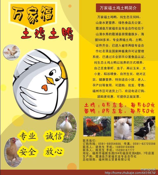 土鸡土鸭简介折页设计 鸟师父 投标-猪八戒网