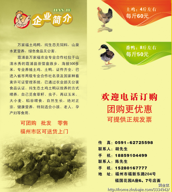 土鸡土鸭简介折页设计 黄金鼠工作室 投标-猪八戒网