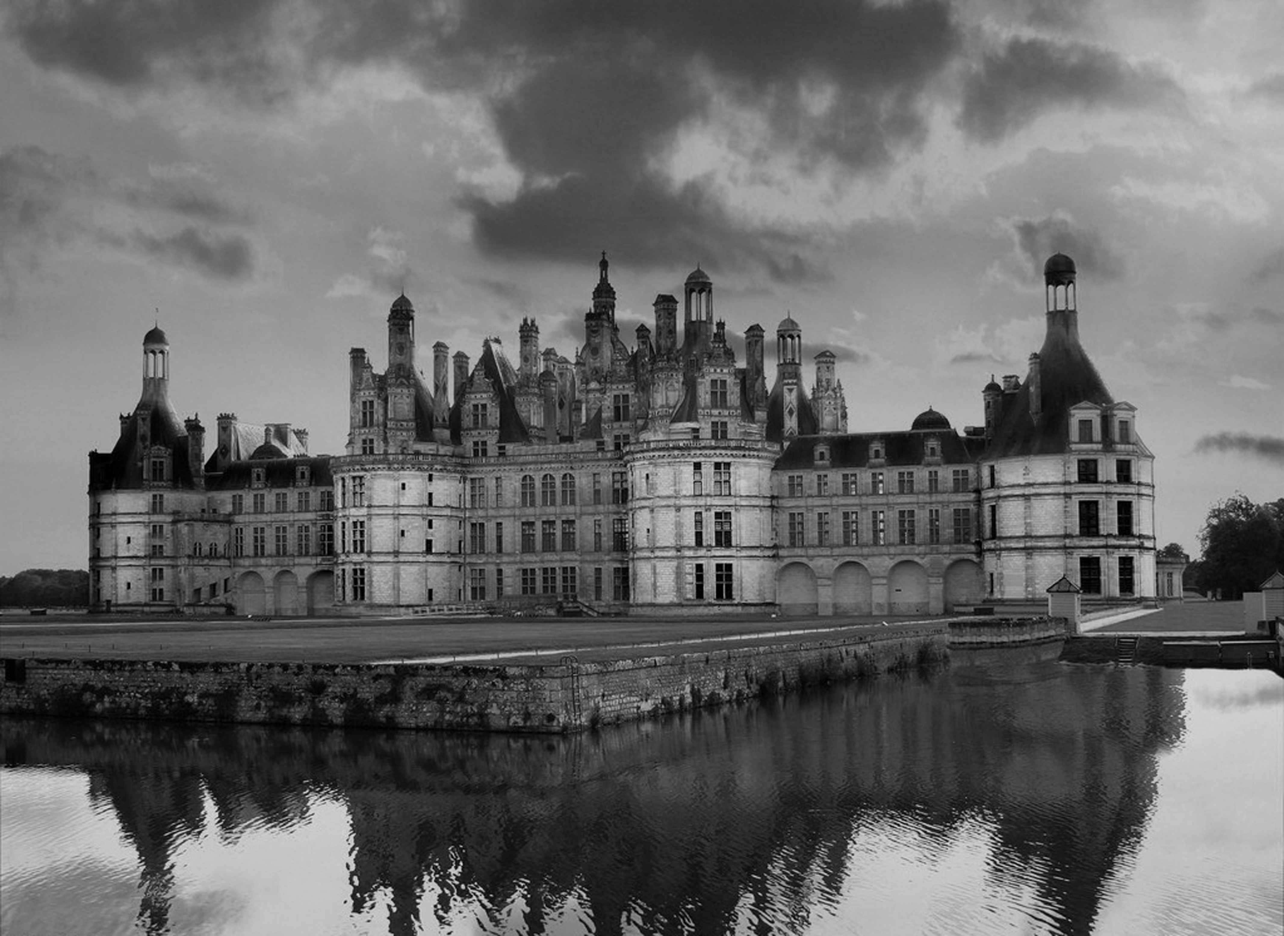 大量需求黑白街景,透明时尚花卉征集