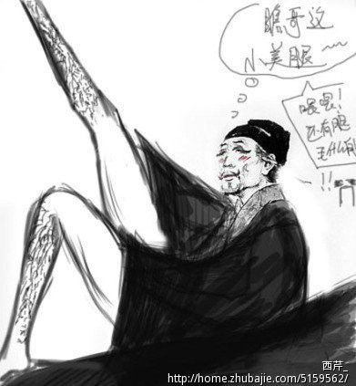 杜甫很忙猫扑图 西芹_ 投标-猪八戒网