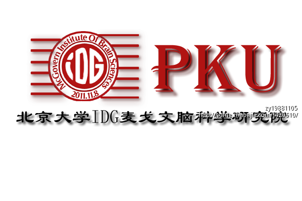 北京大学idg麦戈文脑科学研究院logo设计第31357593号稿件