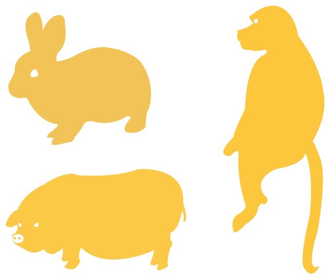 超简单动物轮廓设计