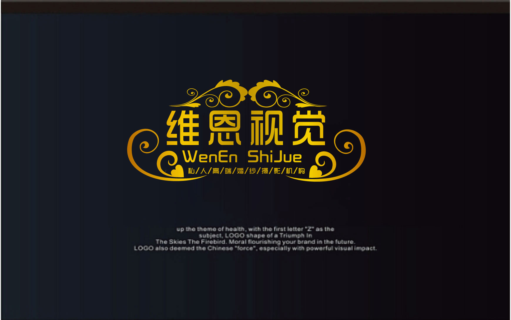 维恩视觉婚纱摄影工作室logo设计