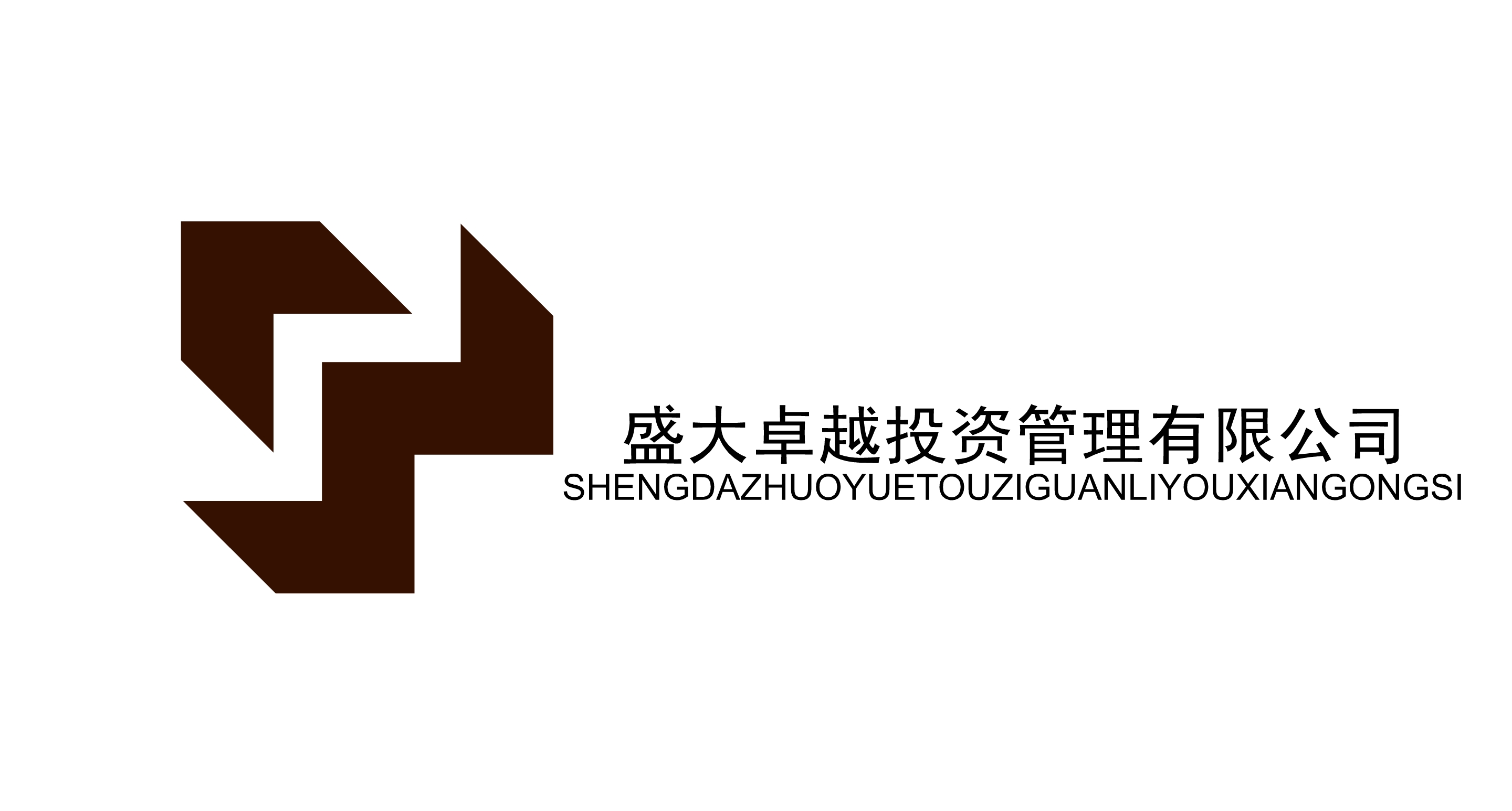 盛大卓越投資管理有限公司logo設計