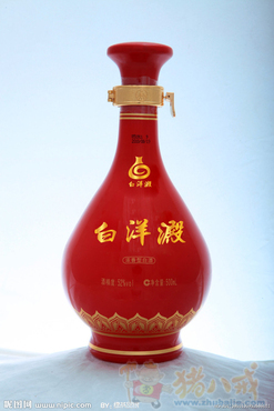 河北白洋淀酒集团logo设计