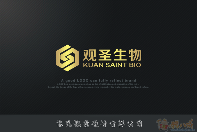 公司logo,商标设计及附送名片排版设计 非凡视觉设计有限公司 投标-猪