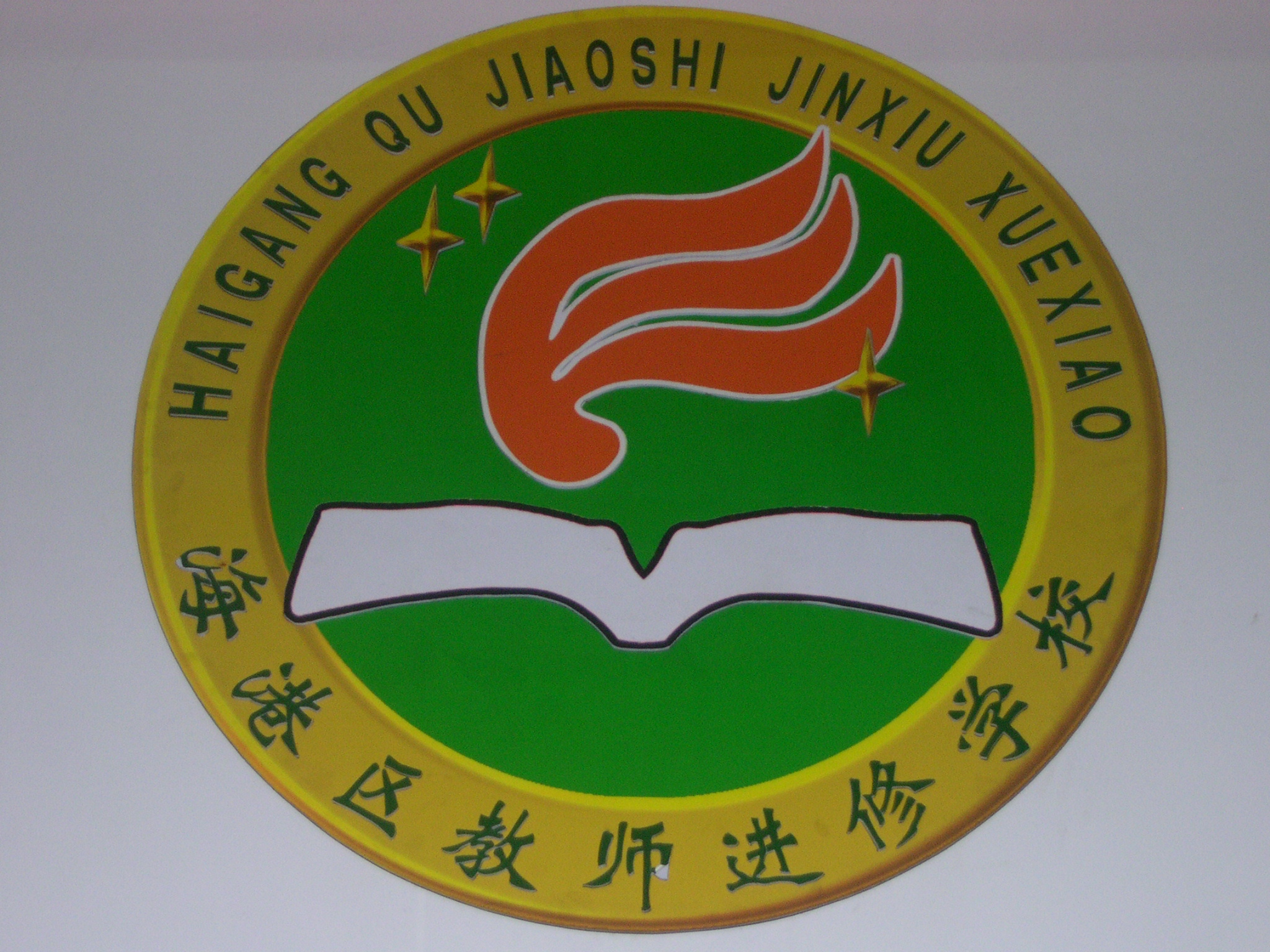 教师进修学校 校徽校旗设计 logo设计