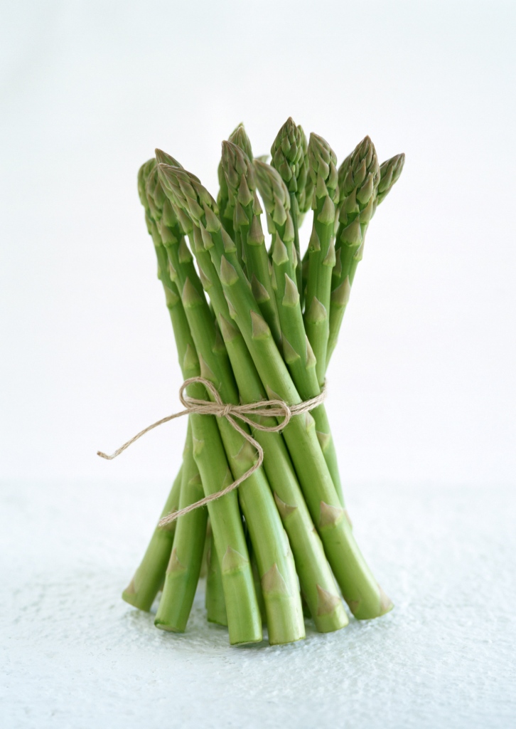 养生"芦笋"制品的宣传设计