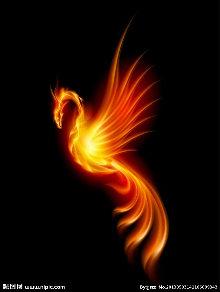 巨鸟国际logo设计