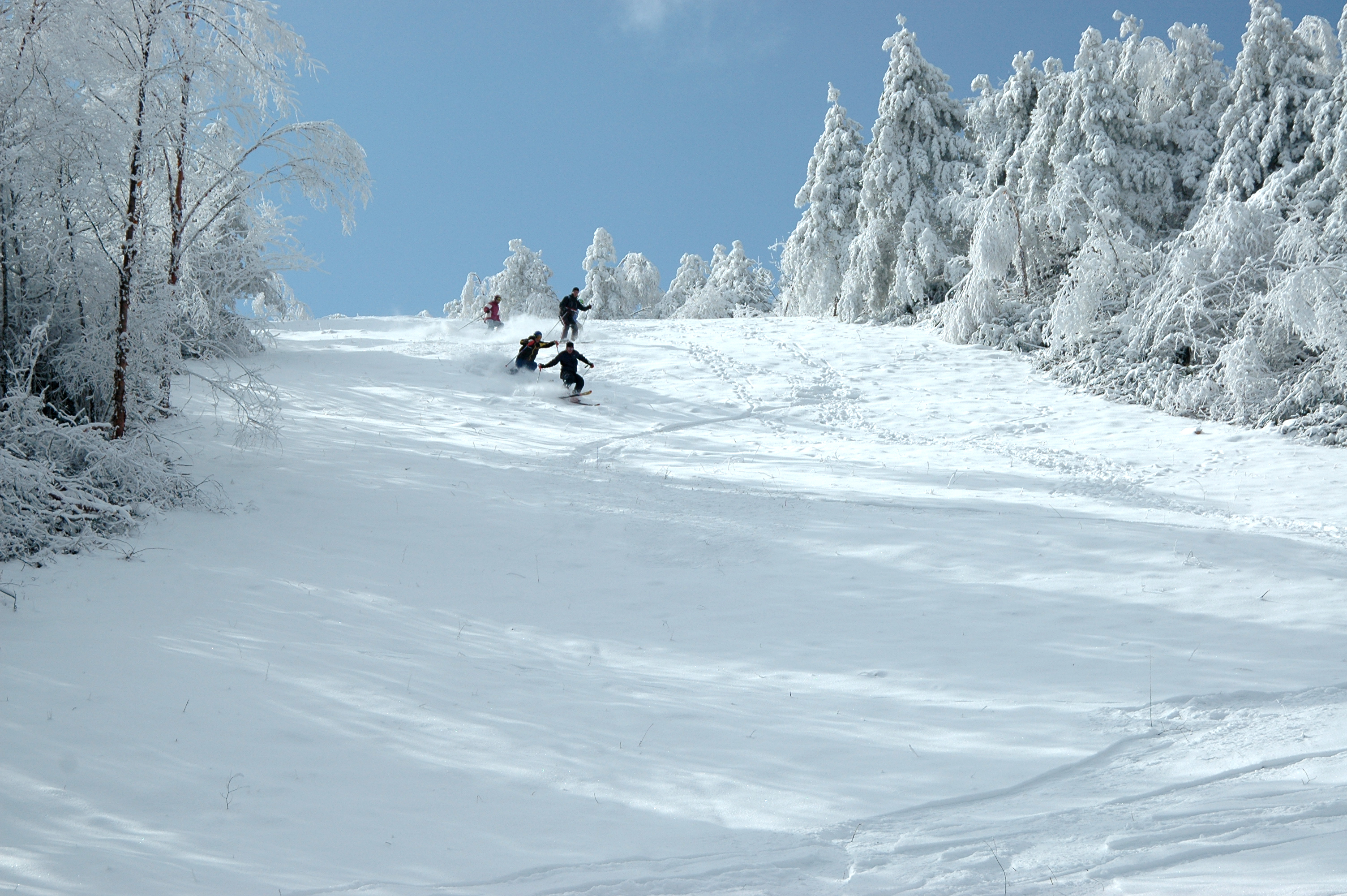 可以自找图片,反面文字图片介绍 附件: 神农架国际滑雪场